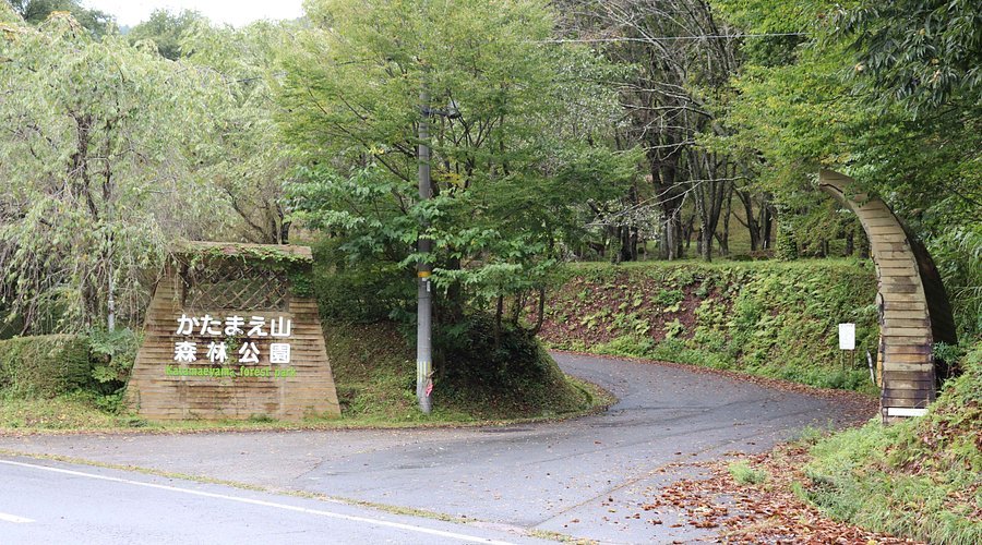 🌳 가타마에야마 산림 공원 (가타마에야마 신린코엔) 이미지 7